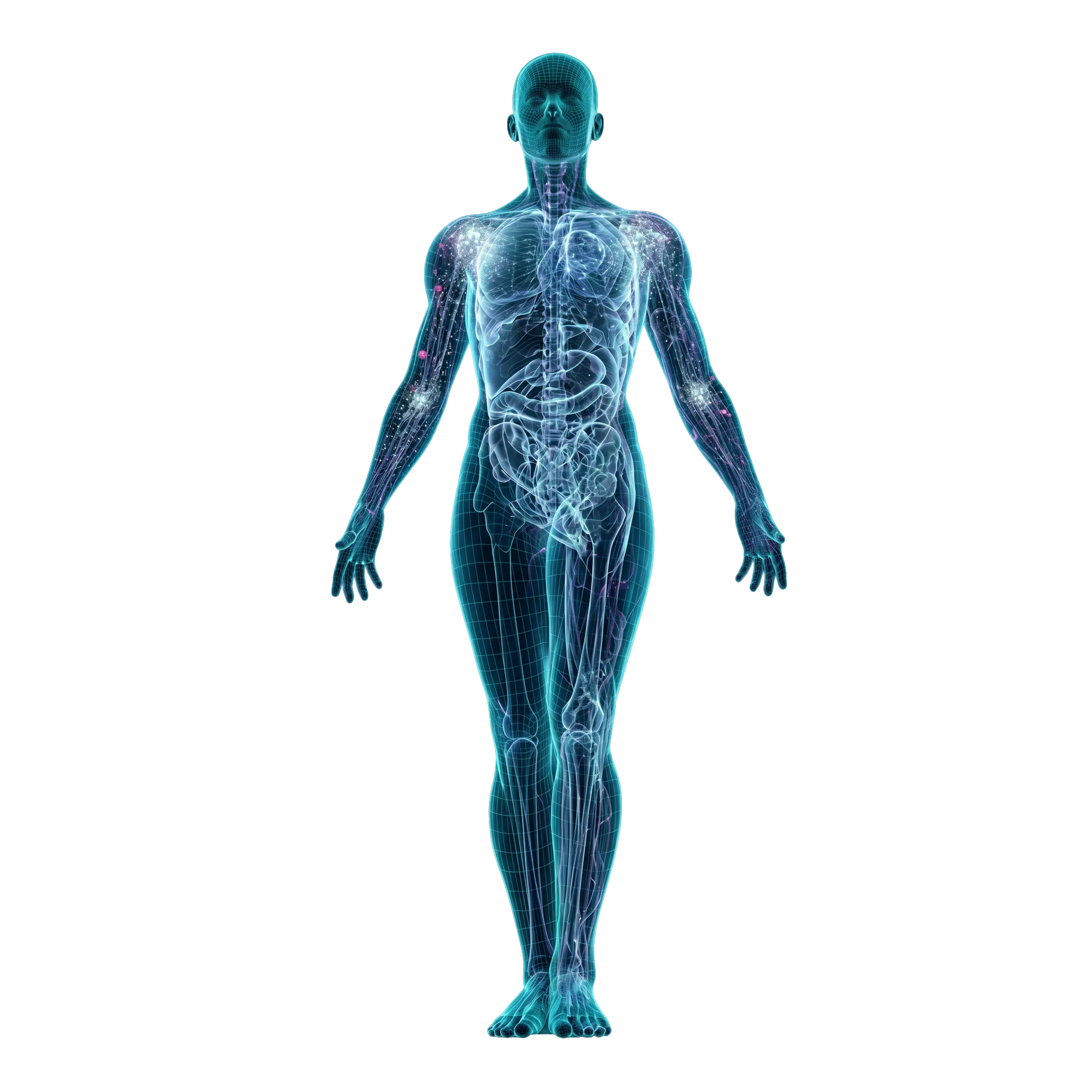 Digital Twin